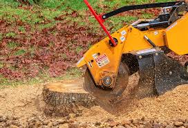 Best Weed Control Services  in Colonial Heights, VA