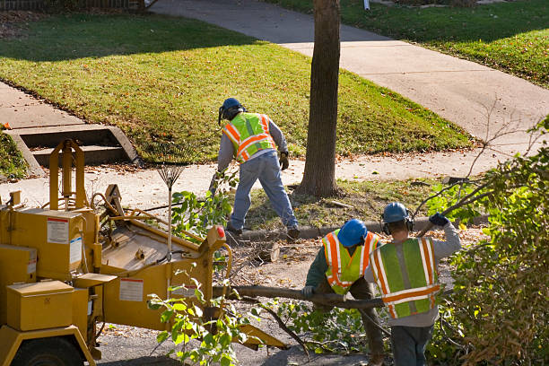 Best Lawn Watering Services  in Colonial Heights, VA