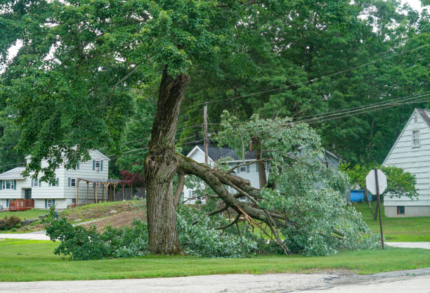 Best Utility Line Clearance  in Colonial Heights, VA